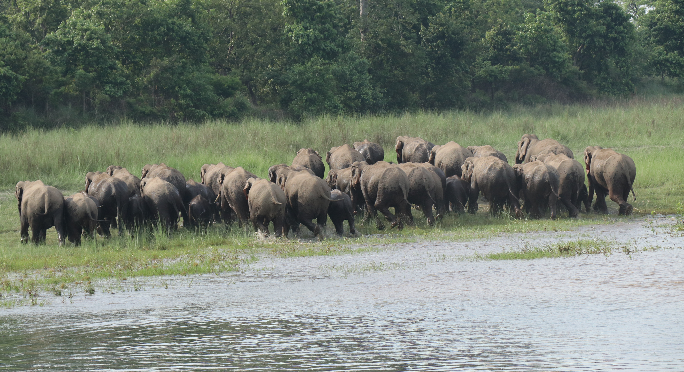 bardiya np (2).png